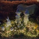 돛머리펜션 | 고성 펜션 고성한산마리나 독채 풀빌라 조식 요트투어 후기