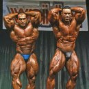 몸짱휘트니스 이미지