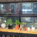 개인공간 | 대전동구필라테스 찾다가 알게 된 이은필라테스, 차분한 개인 공간 후기 :)