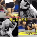 (주)티에이피