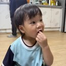 예일농장 네이버블로그