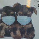 만수동물병원 이미지