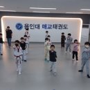 용인대 대한 태권도장 이미지