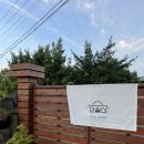 안월선 민박 코리아, 제주 이미지