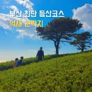 하단동242 이미지