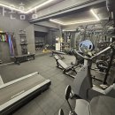 집나온홈짐 이미지