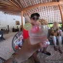 🌴 몰디브 Cinnamon Velifushi 시나몬 벨리푸시 리조트 워터스윗 위드풀 객실 후기