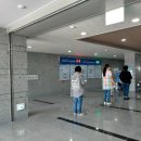 팔봉공설운동장 네이버블로그