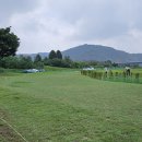 양호파크골프장 이미지