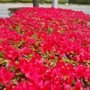 명지횟집 이미지