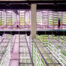 천왕농장 이미지