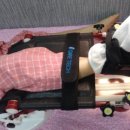 팔팔메디칼 이미지