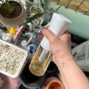 전북아그로 | 더대견 식물영양제 후기 - 식물도 나도 같이 힐링하는 기분