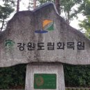 그린때때 이미지