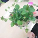 향동숲내초등학교 이미지