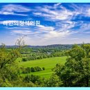 라인의정석의원 허벅지안쪽지방흡입 후기 집중 분석