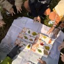 미호유치원 이미지