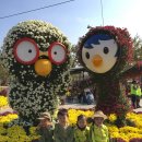 국화축제 (양산 호수공원) 이미지