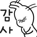 완월동271 이미지