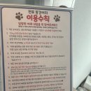 똥강아지 | 부산 전포 애견카페 똥강아지 내돈내산 후기