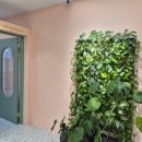 구미인덕초등학교 | 인덕초 영어 고민 끝에 정착한 산동영어학원 후기