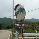 백운사 입구 좌측 이미지