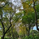 노루어린이공원 | 노루생태관찰원 다녀온 후기, 도민 추천 10월 제주 가볼만한 곳