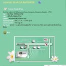 JJ당구장 | [방콕 마사지] 라바나 마사지(LAVANA) 가는 법 &amp;&amp; 후기