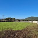 송마목장 이미지