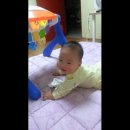 멍멍아 까꿍 이미지