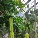 진해기술지원과(진해농업기술센터) 이미지