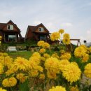 별과 달 펜션 이미지