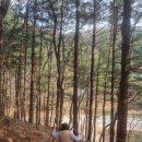 금식농장 네이버블로그