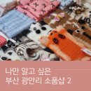 분홍강아지 | 부산 광안리 소품샵 생각보다 엄청 넓은 &#34;분홍이네&#34; 부산 기념품 선물 내돈내산 솔직후기