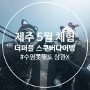 [제주 스쿠버다이빙] 서귀포 범섬 5월 스쿠버체험 후기
