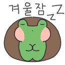 포도마을 삼보아파트 이미지