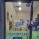 살빼 몸빼 빼빼 이미지