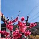 화차원 이미지