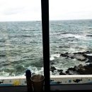 제주도 게스트하우스 후기 (스압)