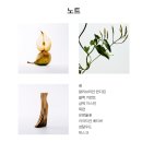 로에베 아이레 수틸레사ㅣ프로미스나인 백지헌 향수, 롯데홈쇼핑 쿠폰 가격, 여름 향수 후기