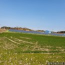 신안자은공인중개사사무소 이미지