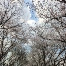 서우1급자동차공업사 이미지