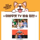 아이조아요양보호소 안양점 | 애견보호소 "아이조아보호소 안양점"에 강아지 옷 기부 했어요!