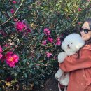 숲속노을 동물병원 이미지