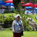 제주의 추억 이미지