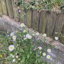 판교제7호(미르어린이공원) | [일기] 주간일지 2022-11-7