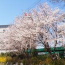 수선화모텔 이미지