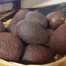 홍길동 농장 이미지