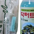 한농종묘사 이미지