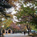 마두공원 이미지